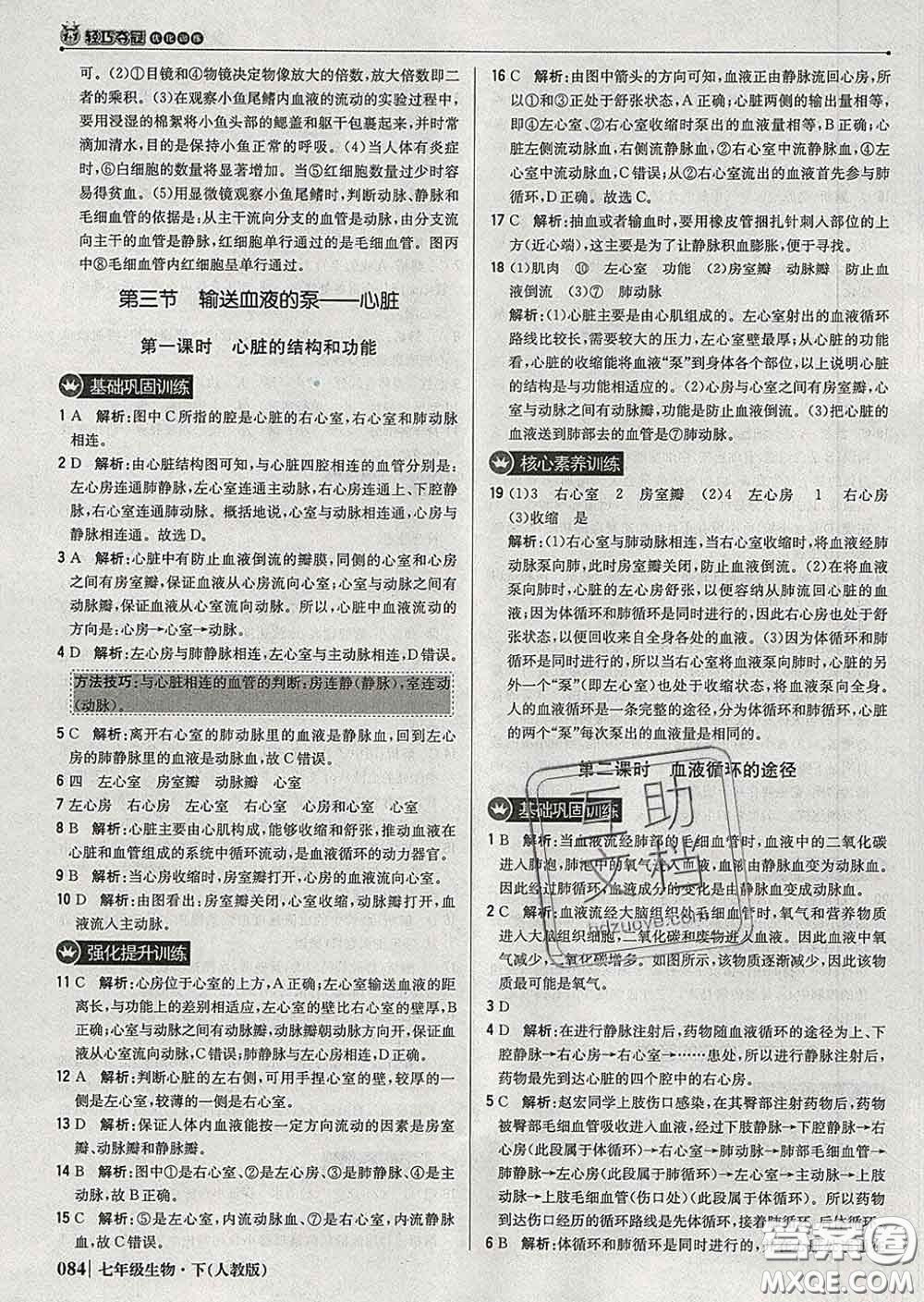 2020新版1加1輕巧奪冠優(yōu)化訓(xùn)練七年級(jí)生物下冊(cè)人教版答案