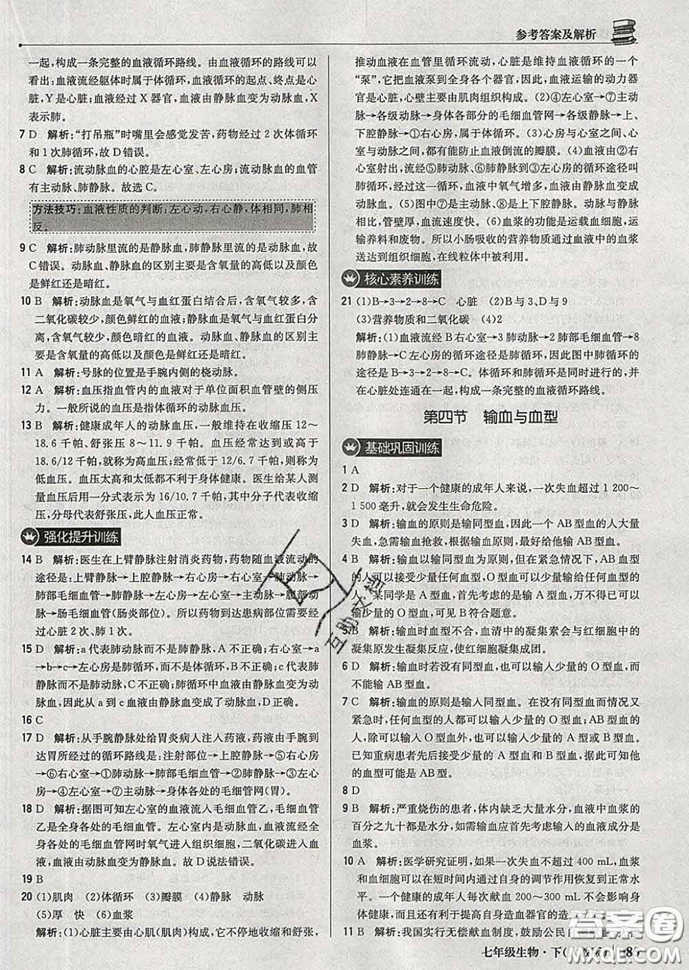 2020新版1加1輕巧奪冠優(yōu)化訓(xùn)練七年級(jí)生物下冊(cè)人教版答案