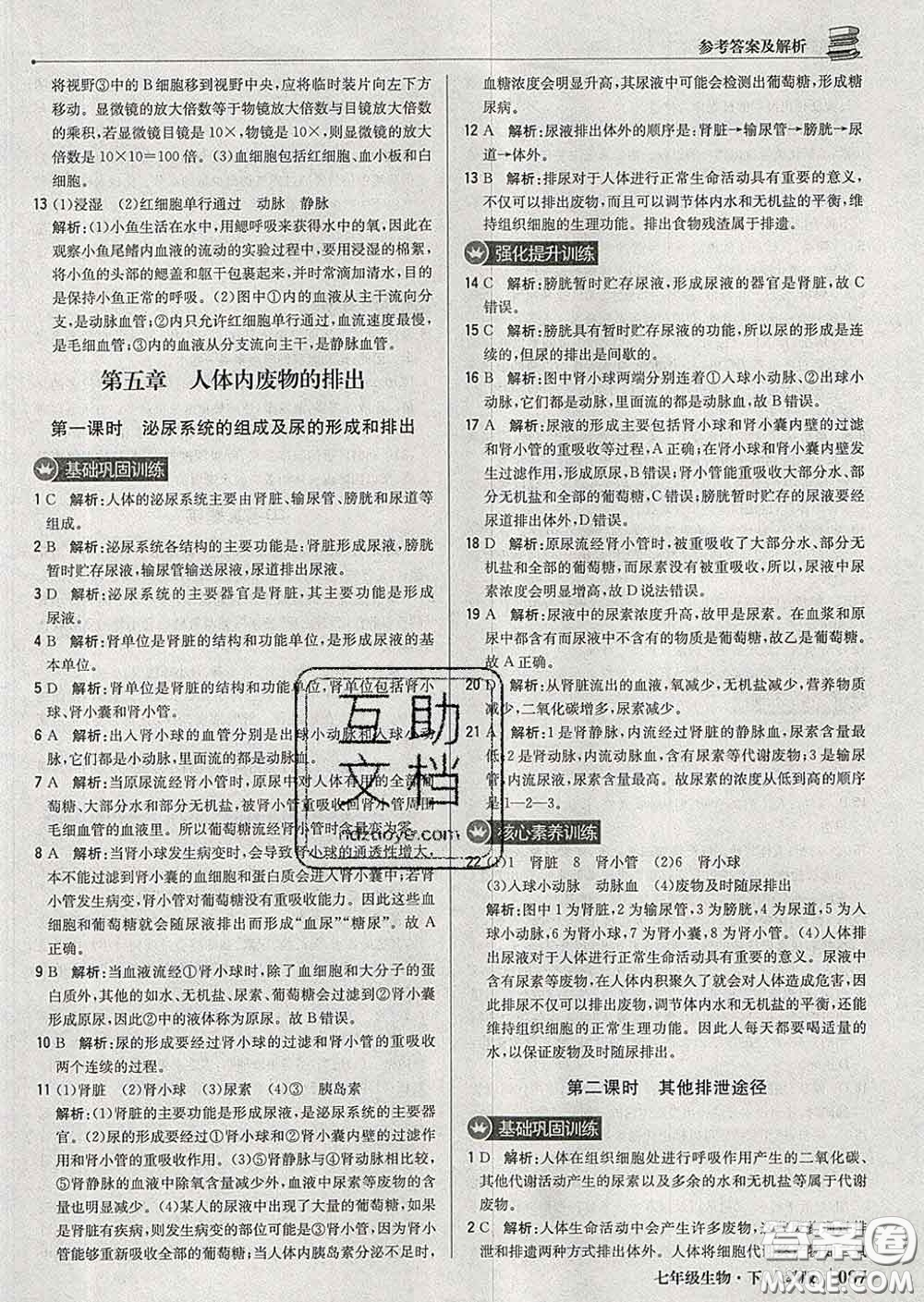 2020新版1加1輕巧奪冠優(yōu)化訓(xùn)練七年級(jí)生物下冊(cè)人教版答案