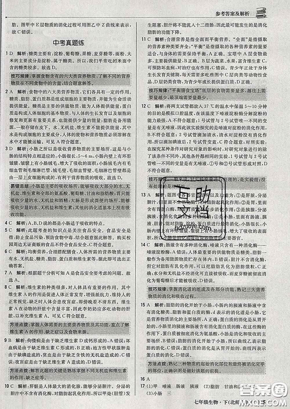 2020新版1加1輕巧奪冠優(yōu)化訓練七年級生物下冊北師版答案