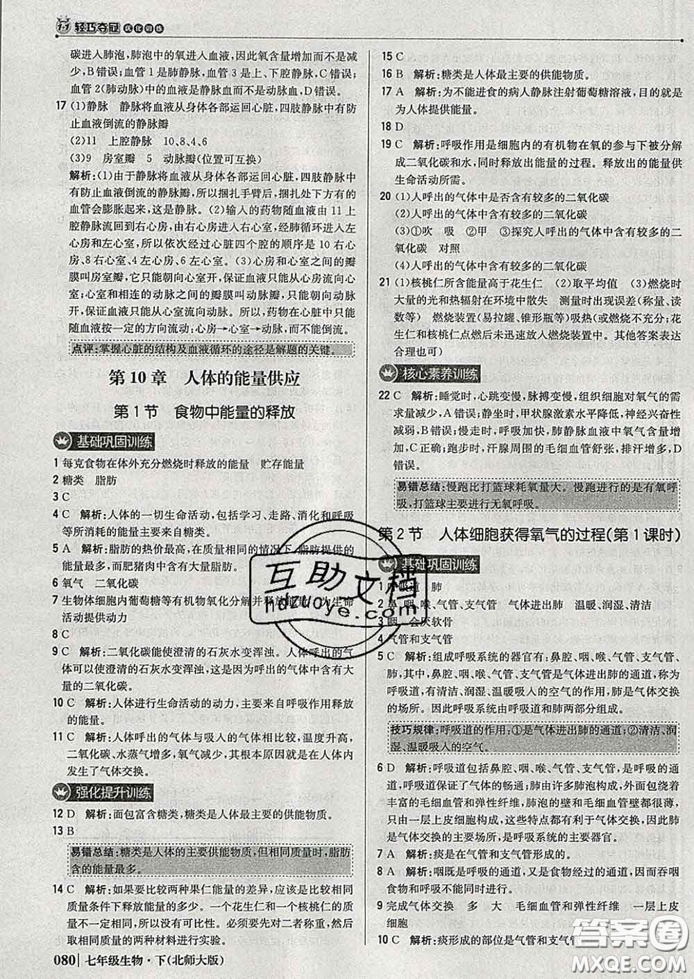 2020新版1加1輕巧奪冠優(yōu)化訓練七年級生物下冊北師版答案