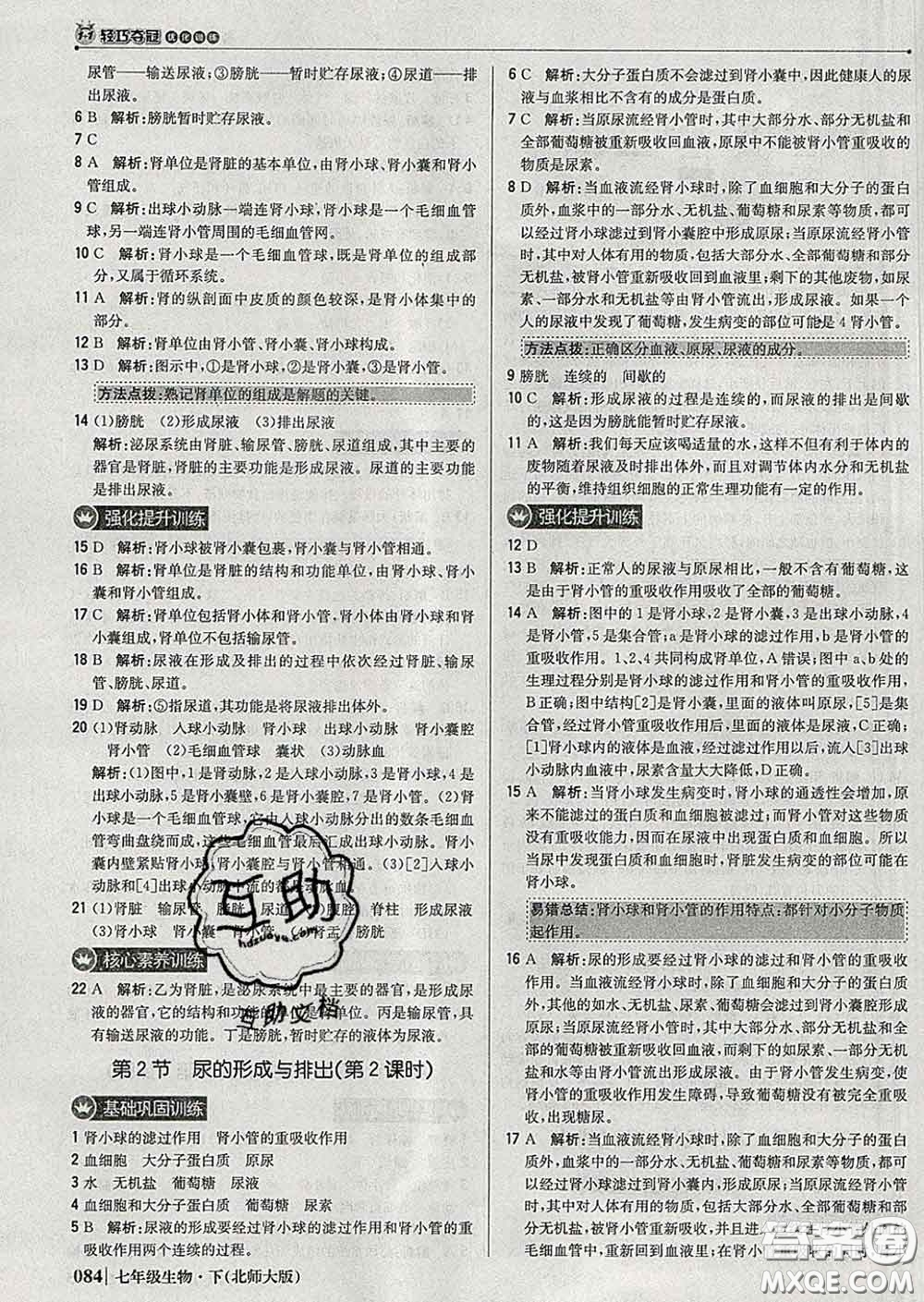 2020新版1加1輕巧奪冠優(yōu)化訓練七年級生物下冊北師版答案