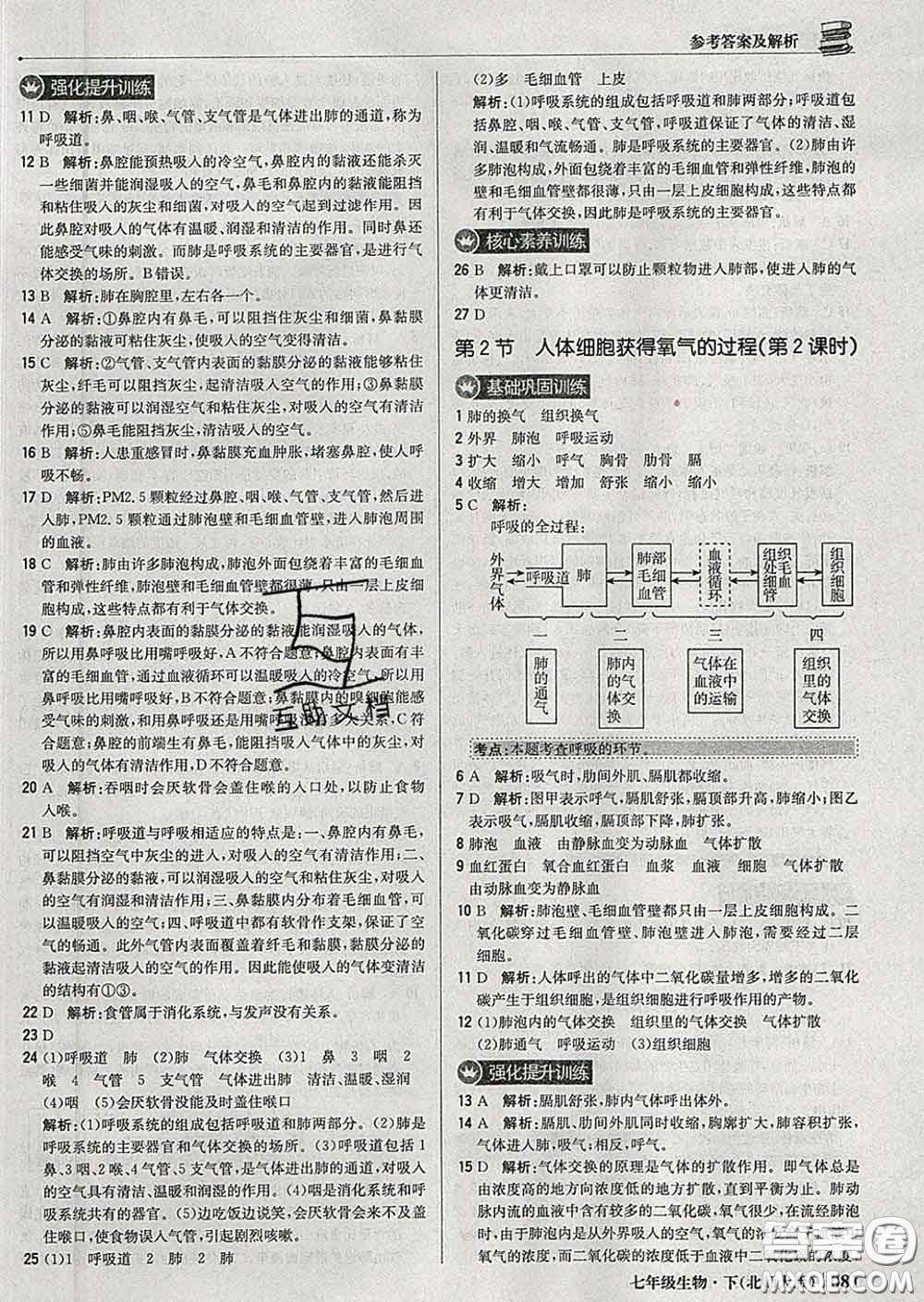 2020新版1加1輕巧奪冠優(yōu)化訓練七年級生物下冊北師版答案