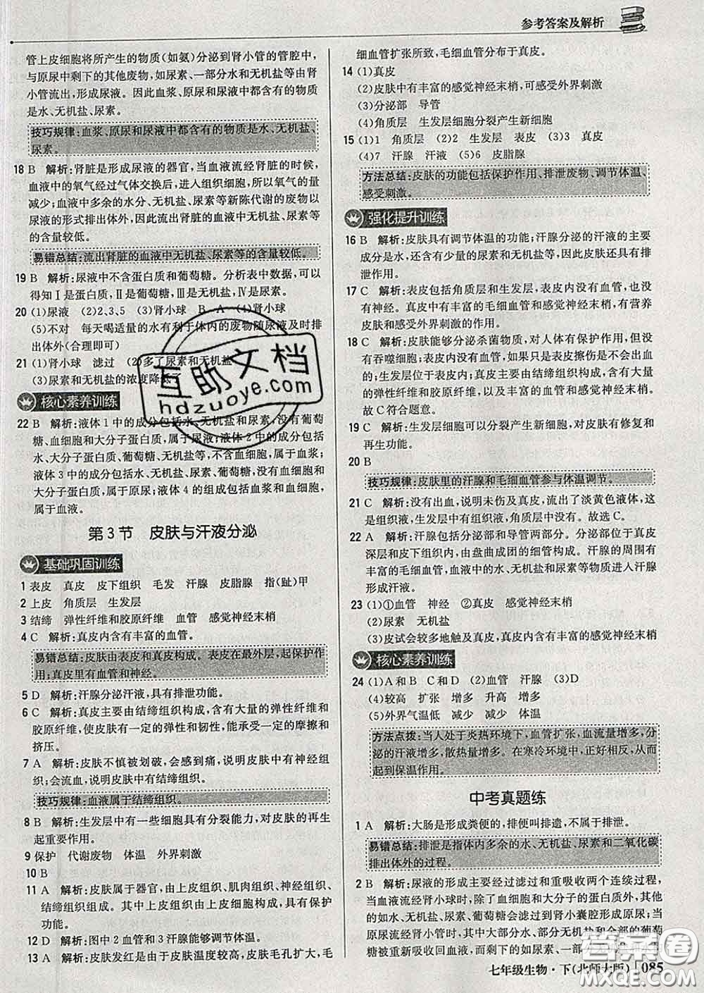 2020新版1加1輕巧奪冠優(yōu)化訓練七年級生物下冊北師版答案