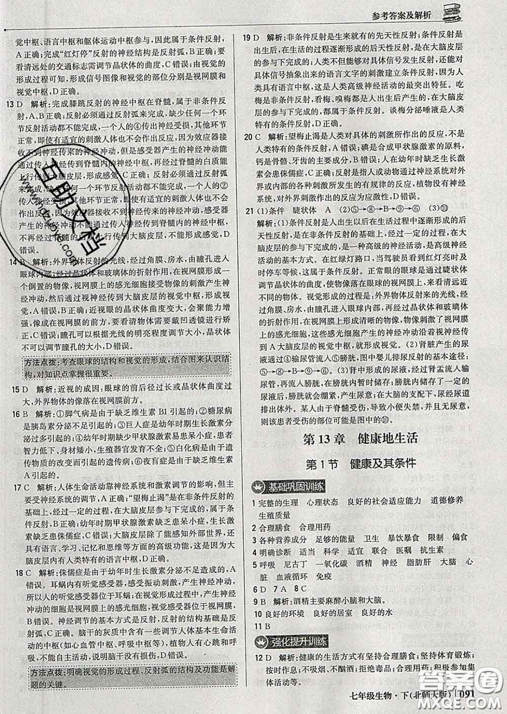 2020新版1加1輕巧奪冠優(yōu)化訓練七年級生物下冊北師版答案