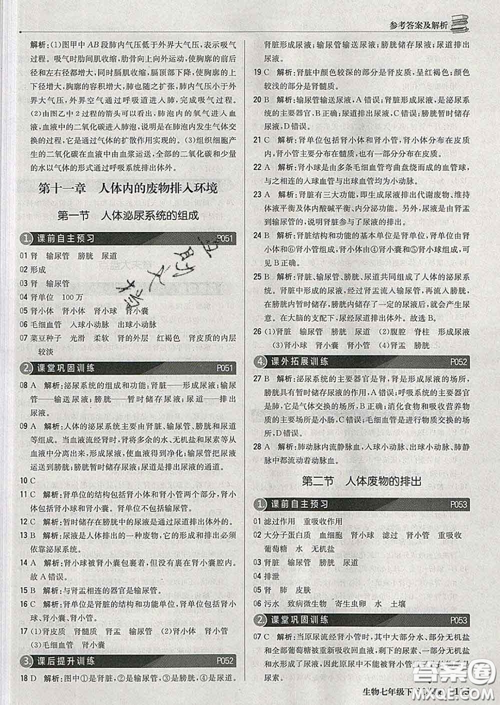 2020新版1加1輕巧奪冠優(yōu)化訓(xùn)練七年級生物下冊江蘇版答案