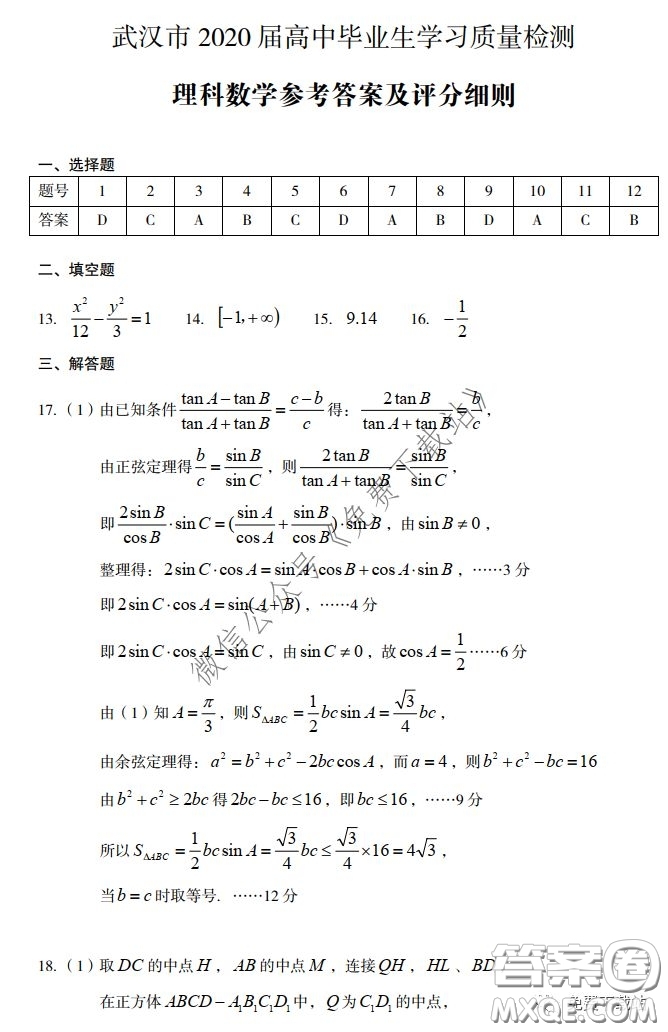 武漢市2020屆3月高中畢業(yè)班學習質(zhì)量檢測理科數(shù)學試題及答案