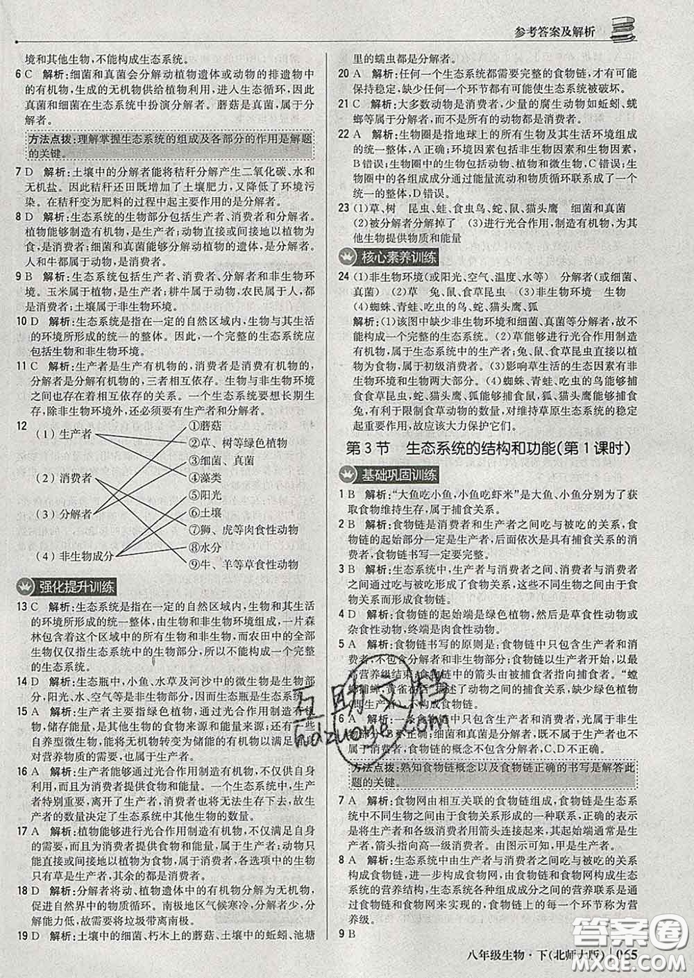 2020新版1加1輕巧奪冠優(yōu)化訓(xùn)練八年級(jí)生物下冊(cè)北師版答案