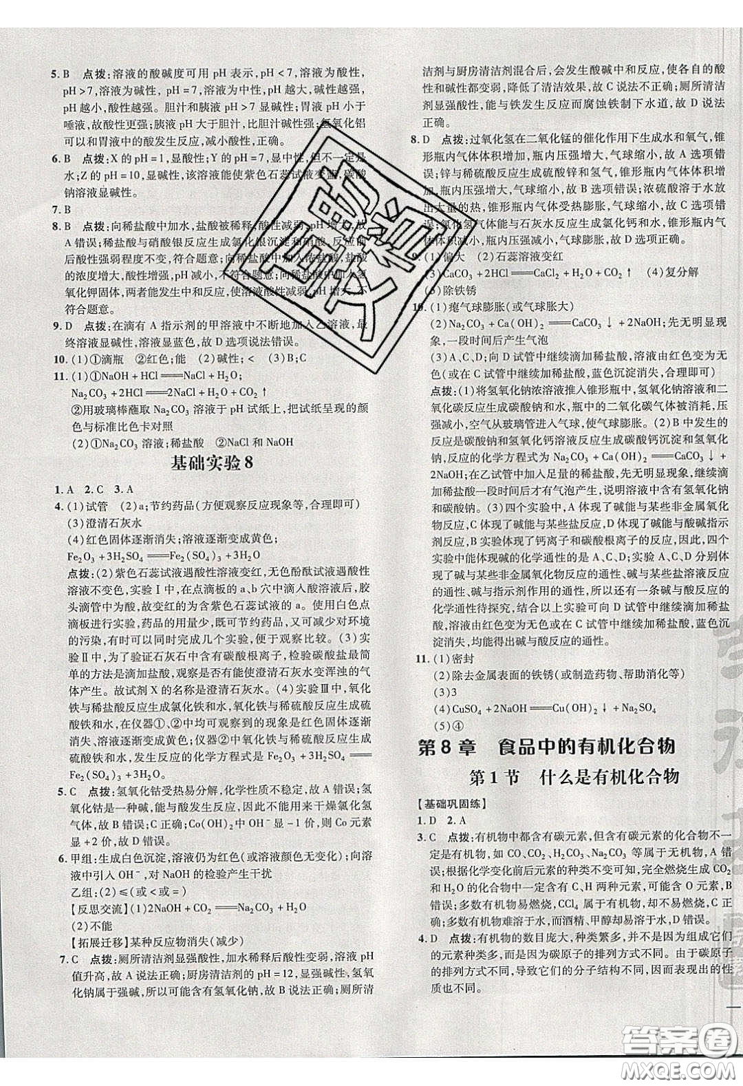 2020榮德基點(diǎn)撥訓(xùn)練九年級化學(xué)下冊滬教版答案