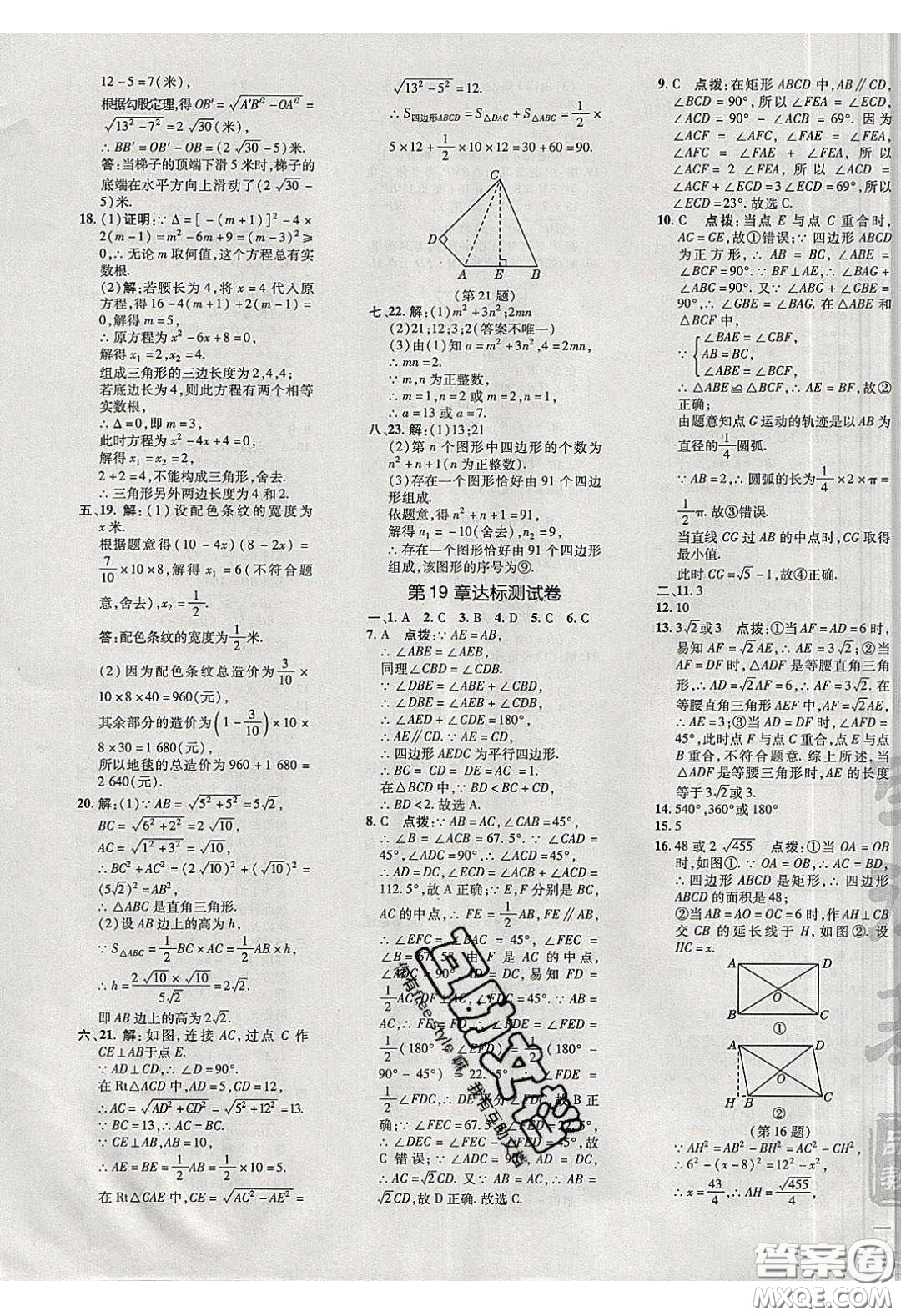 2020榮德基點(diǎn)撥訓(xùn)練八年級(jí)數(shù)學(xué)下冊(cè)滬科版安徽專用版答案