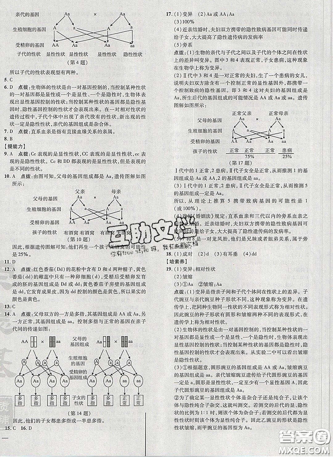 2020榮德基點(diǎn)撥訓(xùn)練八年級(jí)生物下冊(cè)人教版答案