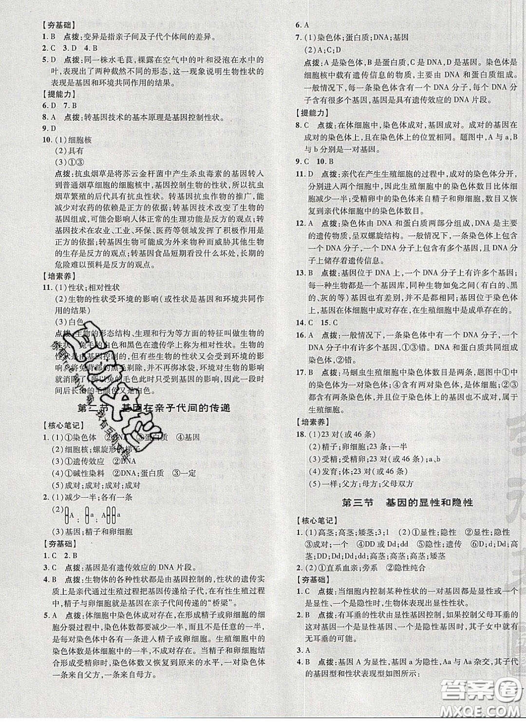 2020榮德基點(diǎn)撥訓(xùn)練八年級(jí)生物下冊(cè)人教版答案