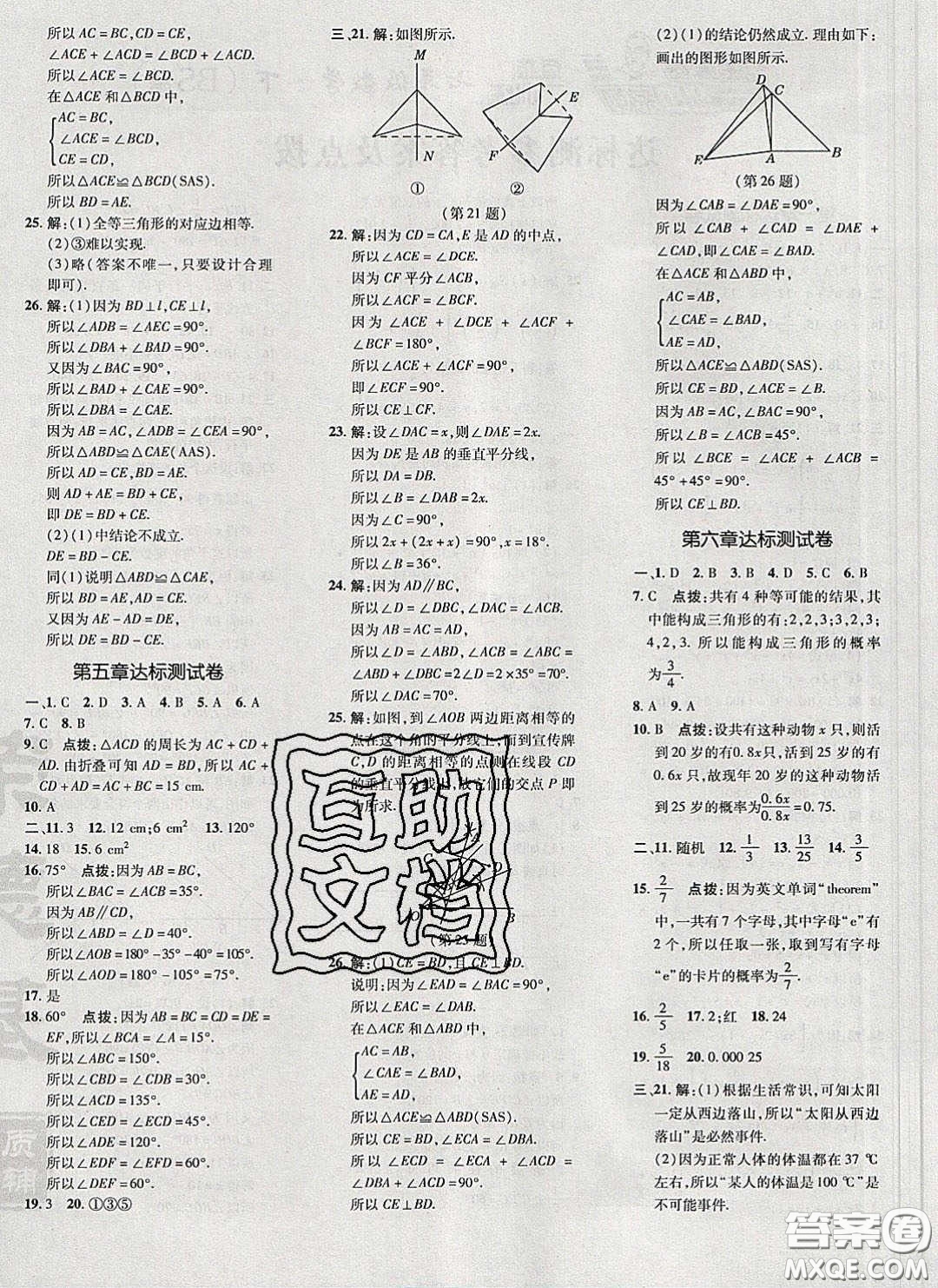 2020榮德基點撥訓(xùn)練七年級數(shù)學(xué)下冊北師大版答案