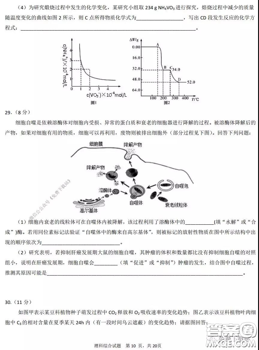 鄭州市中原聯(lián)盟高三年級2020理綜線上測試試題及答案