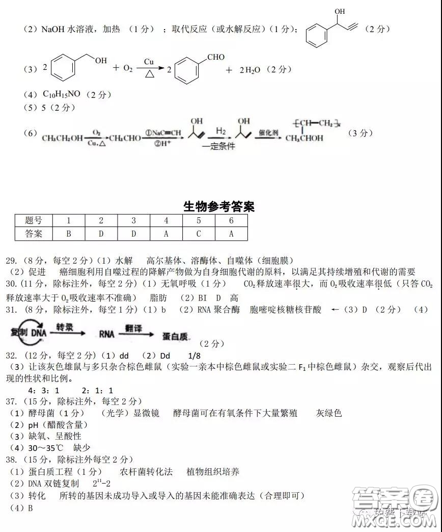 鄭州市中原聯(lián)盟高三年級2020理綜線上測試試題及答案