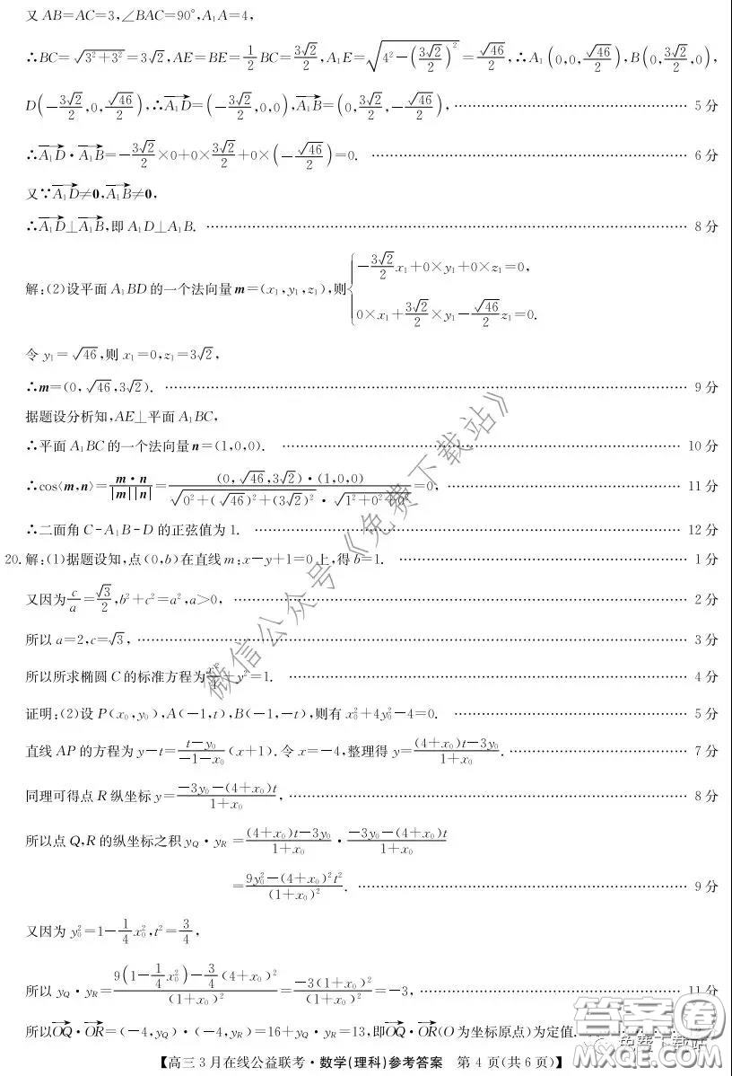 2020年九師聯(lián)盟3月在線公益聯(lián)考理科數(shù)學試題及答案