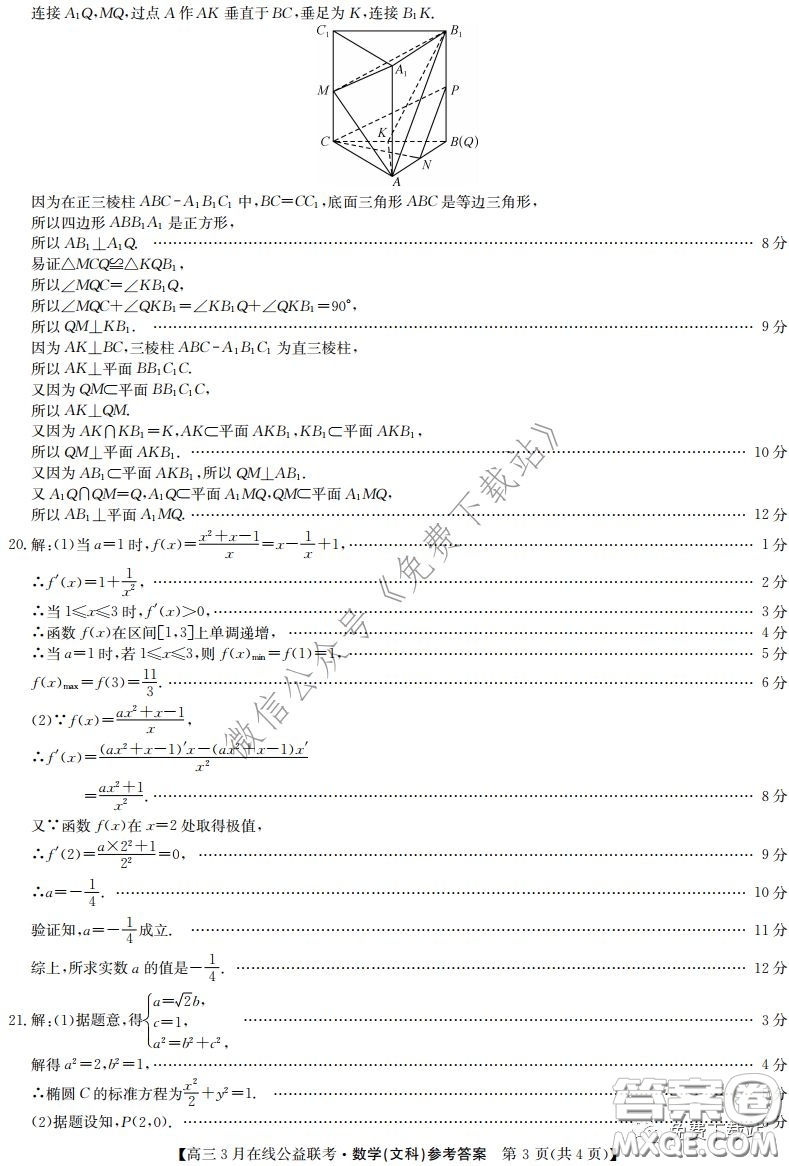 2020年九師聯(lián)盟3月在線公益聯(lián)考文科數(shù)學(xué)試題及答案