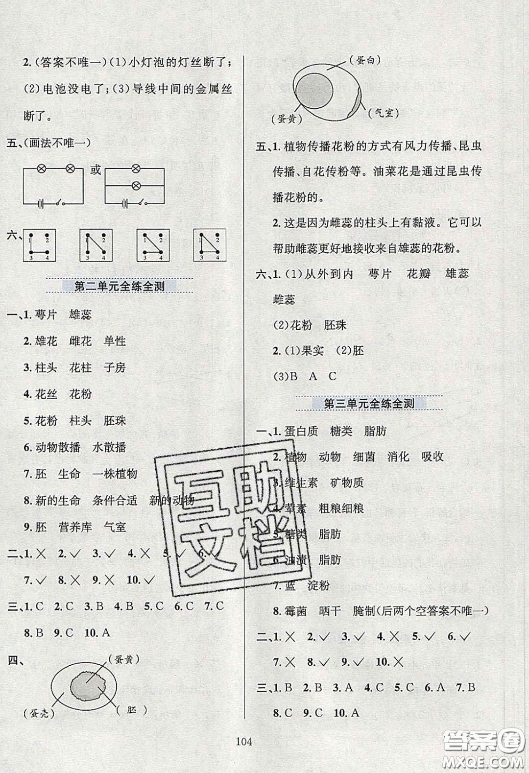 2020年小學(xué)教材全練四年級(jí)科學(xué)下冊(cè)教科版答案