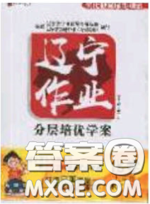 2020年遼寧作業(yè)分層培優(yōu)學(xué)案九年級化學(xué)下冊科粵版答案