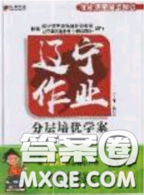 2020年遼寧作業(yè)分層培優(yōu)學(xué)案九年級數(shù)學(xué)下冊北師大版答案