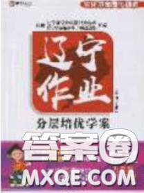 2020年遼寧作業(yè)分層培優(yōu)學(xué)案九年級物理下冊北師大版答案