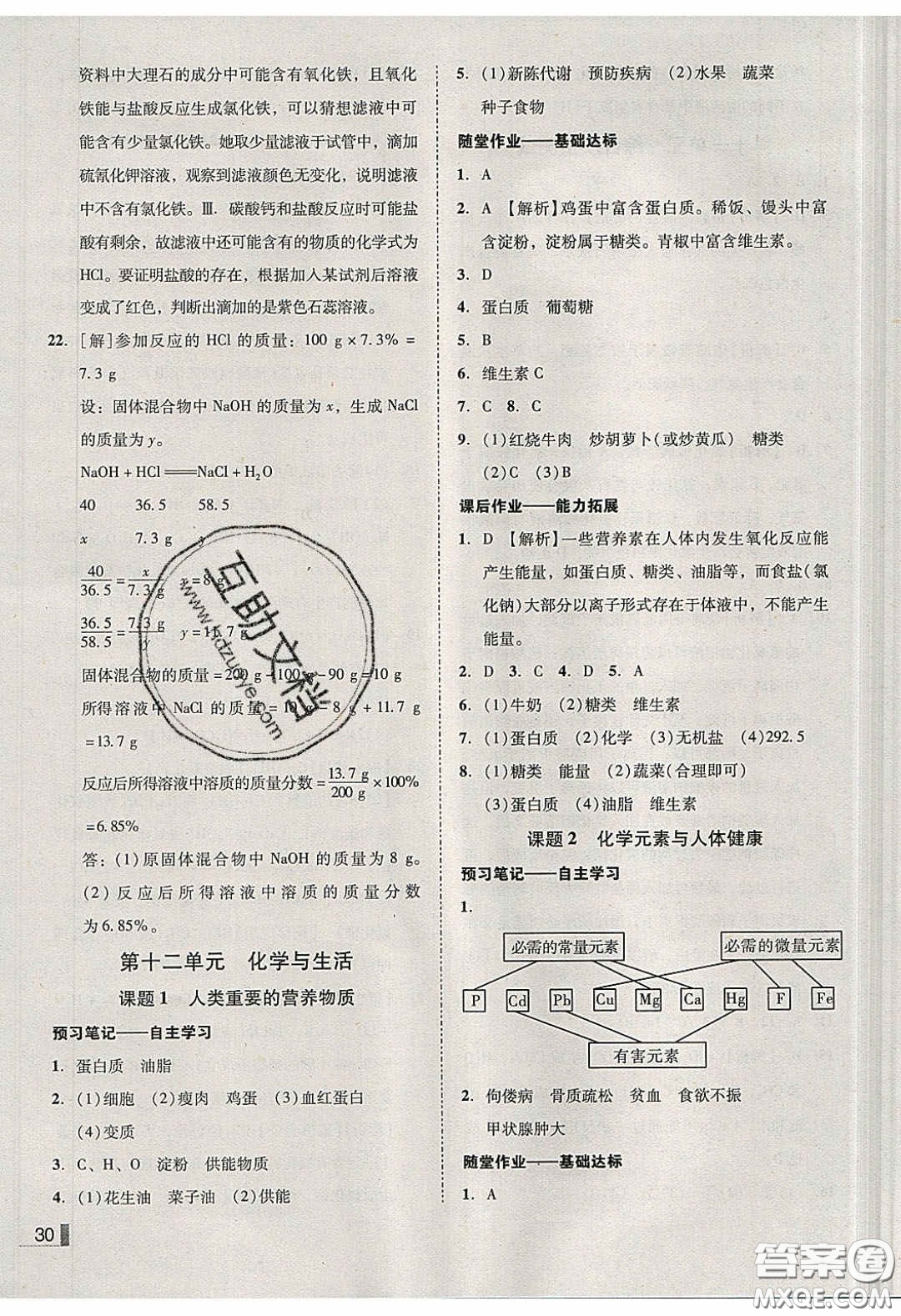 2020年遼寧作業(yè)分層培優(yōu)學(xué)案九年級(jí)化學(xué)下冊(cè)人教版答案