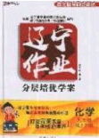 2020年遼寧作業(yè)分層培優(yōu)學(xué)案九年級(jí)化學(xué)下冊(cè)人教版答案