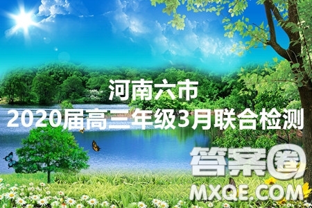 河南六市2020屆高三年級(jí)3月聯(lián)合檢測(cè)文科數(shù)學(xué)試題及答案