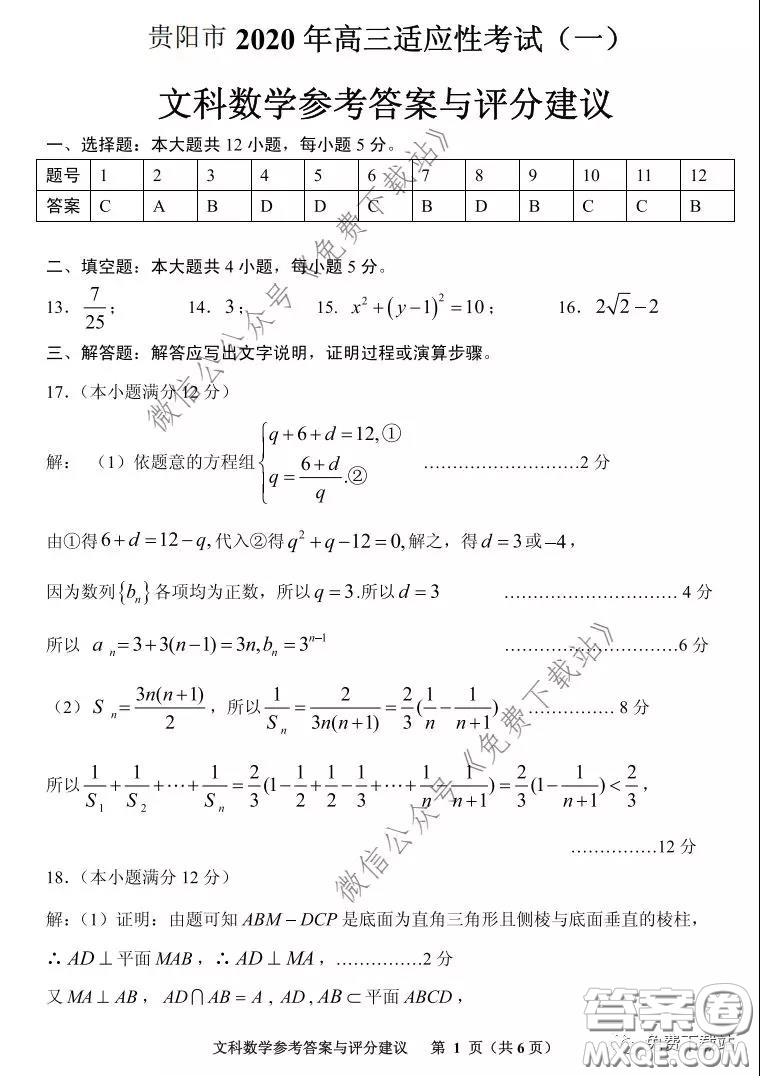 貴陽(yáng)市2020年高考適應(yīng)性考試一文科數(shù)學(xué)試題及答案