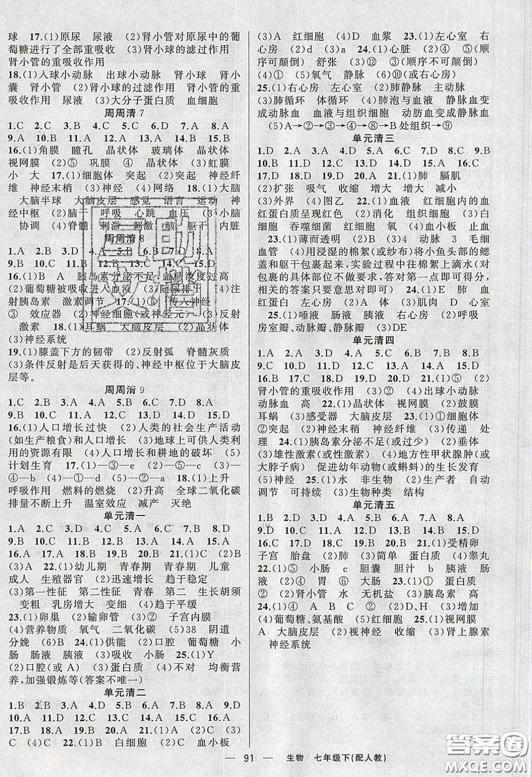 獵豹圖書2020年四清導航七年級生物下冊人教版答案