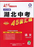 新疆青少年出版社2020金考卷湖北中考45套匯編語文答案