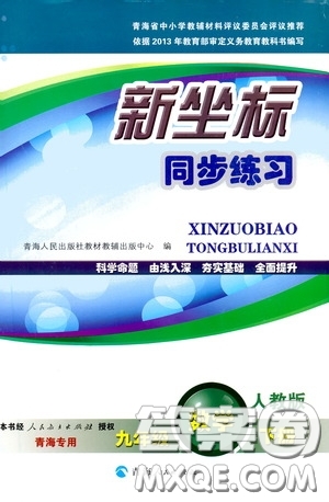 2020年新坐標(biāo)同步練習(xí)數(shù)學(xué)九年級下冊人教版參考答案