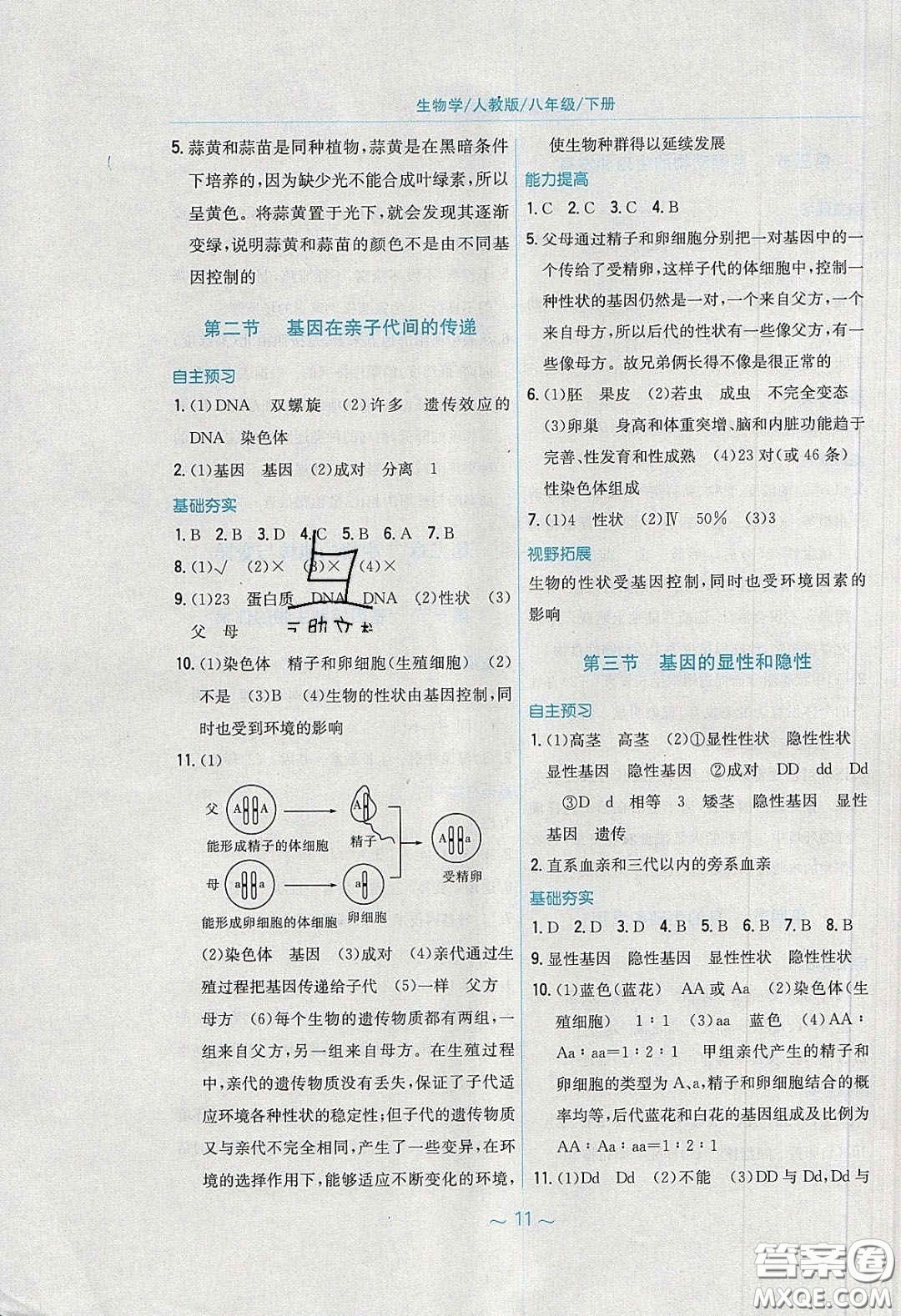 安徽教育出版社2020年新編基礎(chǔ)訓(xùn)練八年級(jí)生物學(xué)下冊(cè)人教版答案