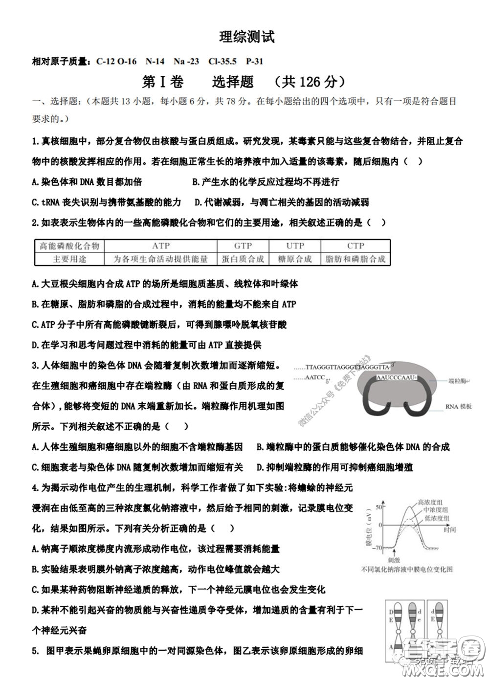 衡水中學(xué)2020年高三下學(xué)期第七次調(diào)研考試?yán)砜凭C合試題及答案