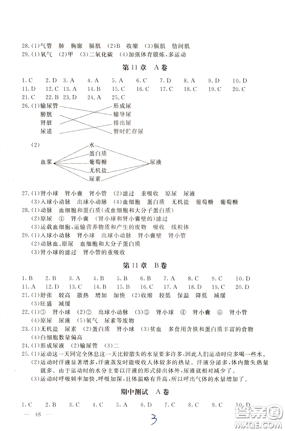 2020年新課堂AB卷單元測(cè)試生物學(xué)七年級(jí)下冊(cè)河北教育版參考答案