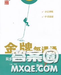 2020新版點石成金金牌每課通七年級數(shù)學下冊人教版答案