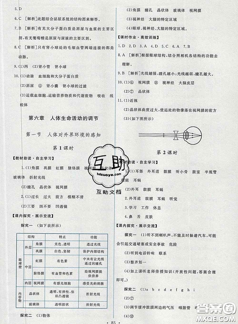 2020春能力培養(yǎng)與測試七年級生物下冊人教版答案