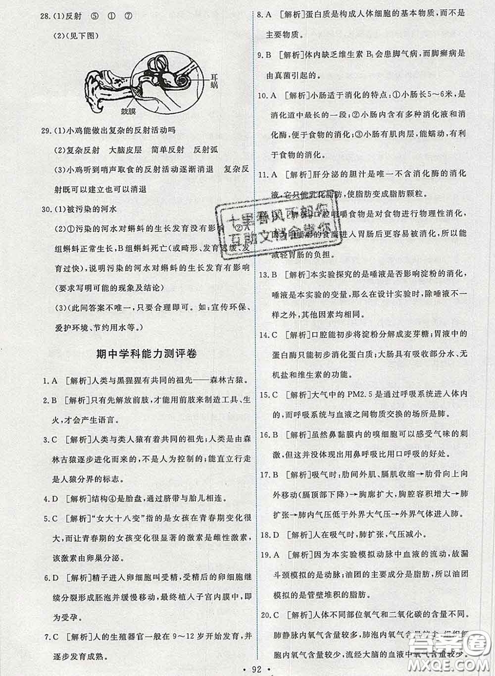 2020春能力培養(yǎng)與測試七年級生物下冊人教版答案