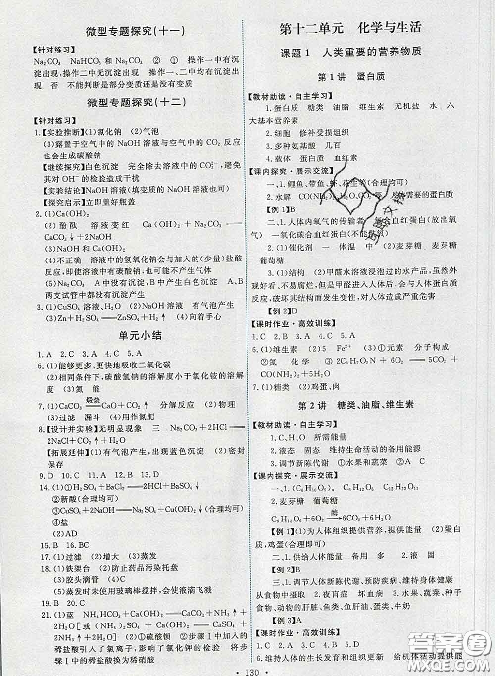 2020春能力培養(yǎng)與測(cè)試九年級(jí)化學(xué)下冊(cè)人教版答案