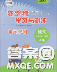 2020新版新課程學(xué)習(xí)與測(cè)評(píng)單元雙測(cè)六年級(jí)語(yǔ)文下冊(cè)A版答案