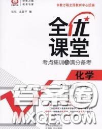 2020春全優(yōu)課堂考點集訓與滿分備考九年級化學下冊人教版答案