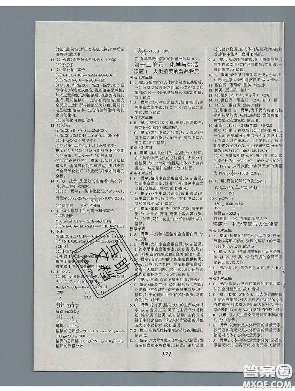 2020春全優(yōu)課堂考點集訓與滿分備考九年級化學下冊人教版答案