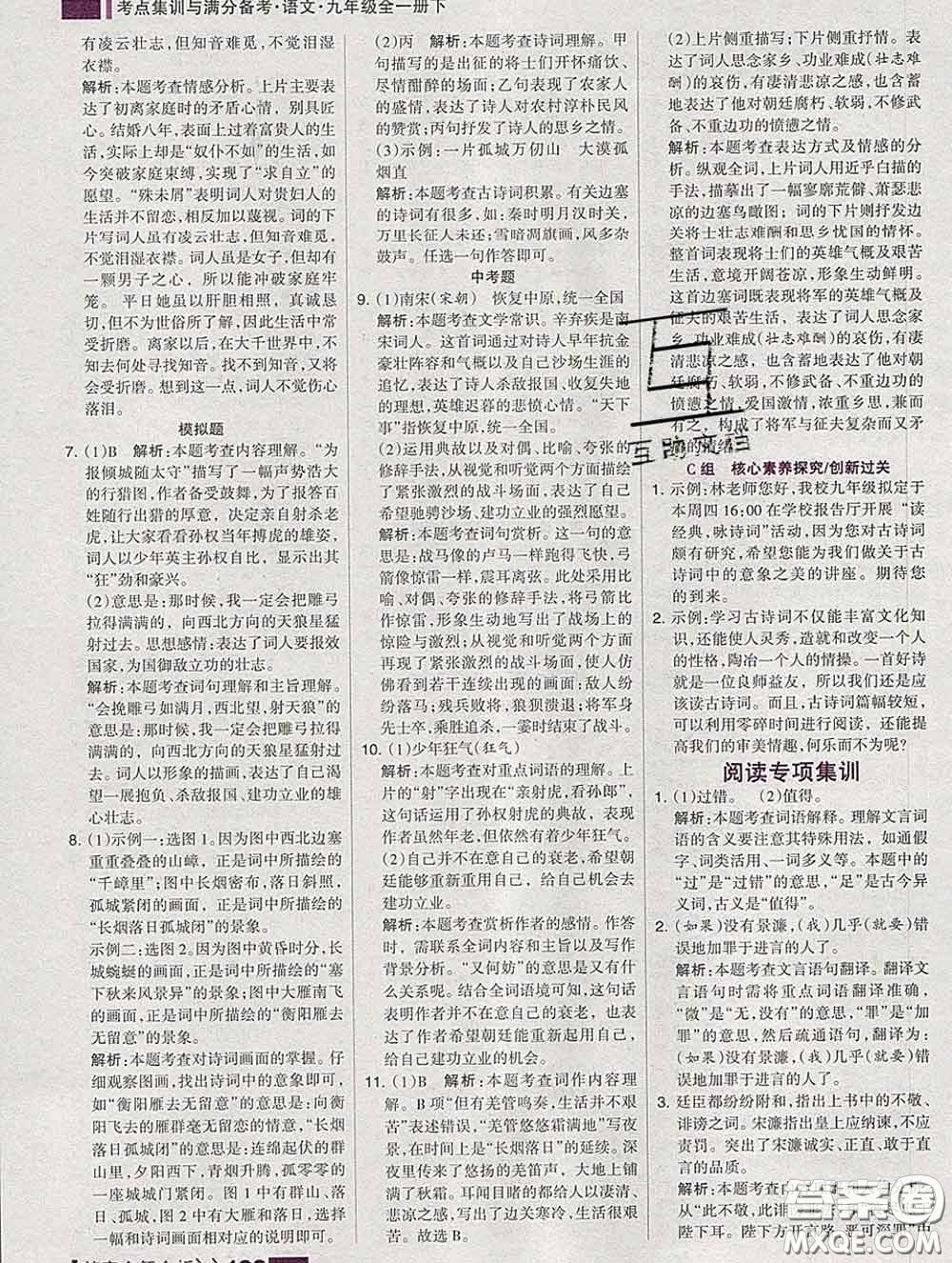 2020新版考點集訓(xùn)與滿分備考九年級語文下冊人教版答案