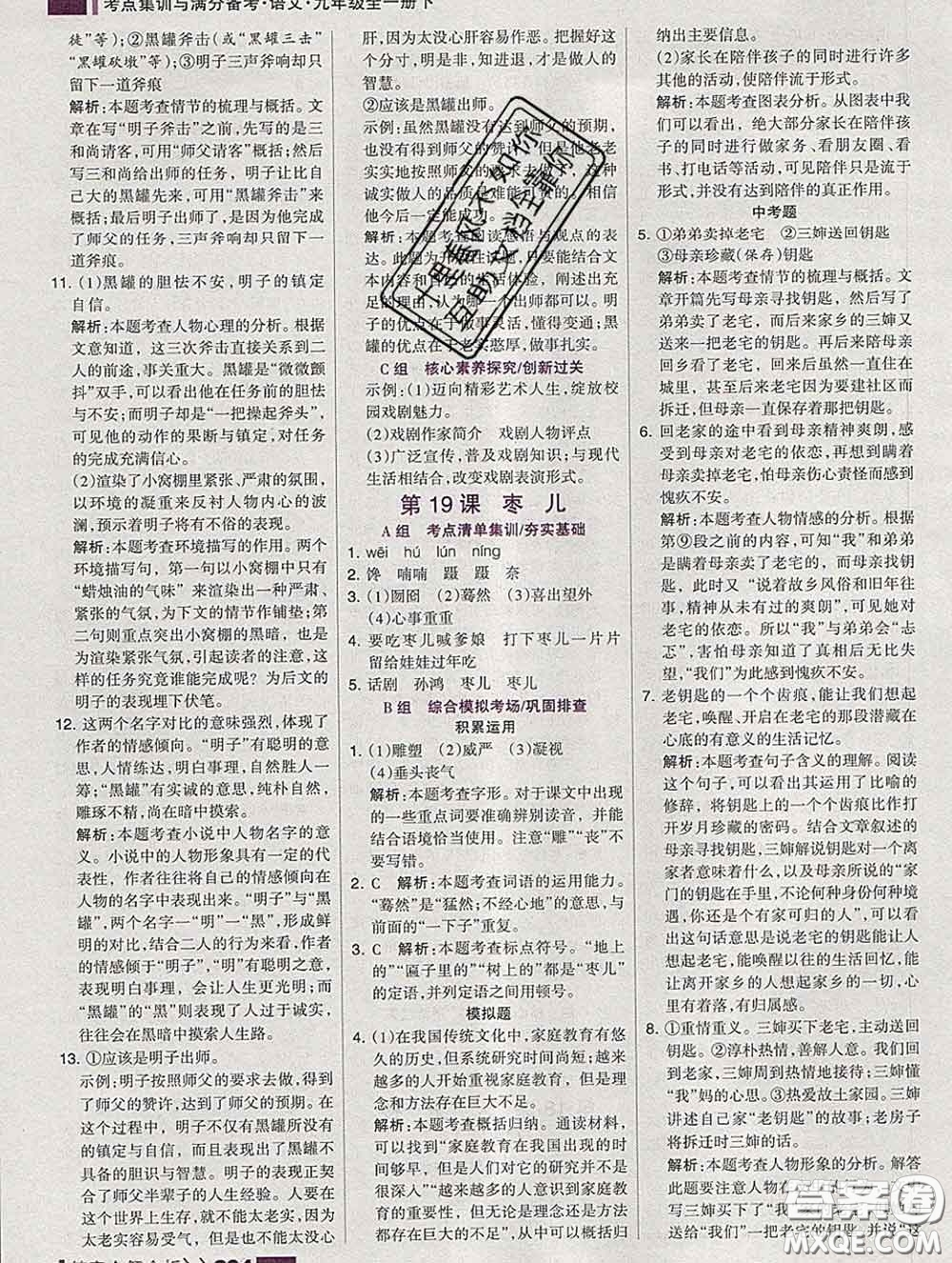 2020新版考點集訓(xùn)與滿分備考九年級語文下冊人教版答案