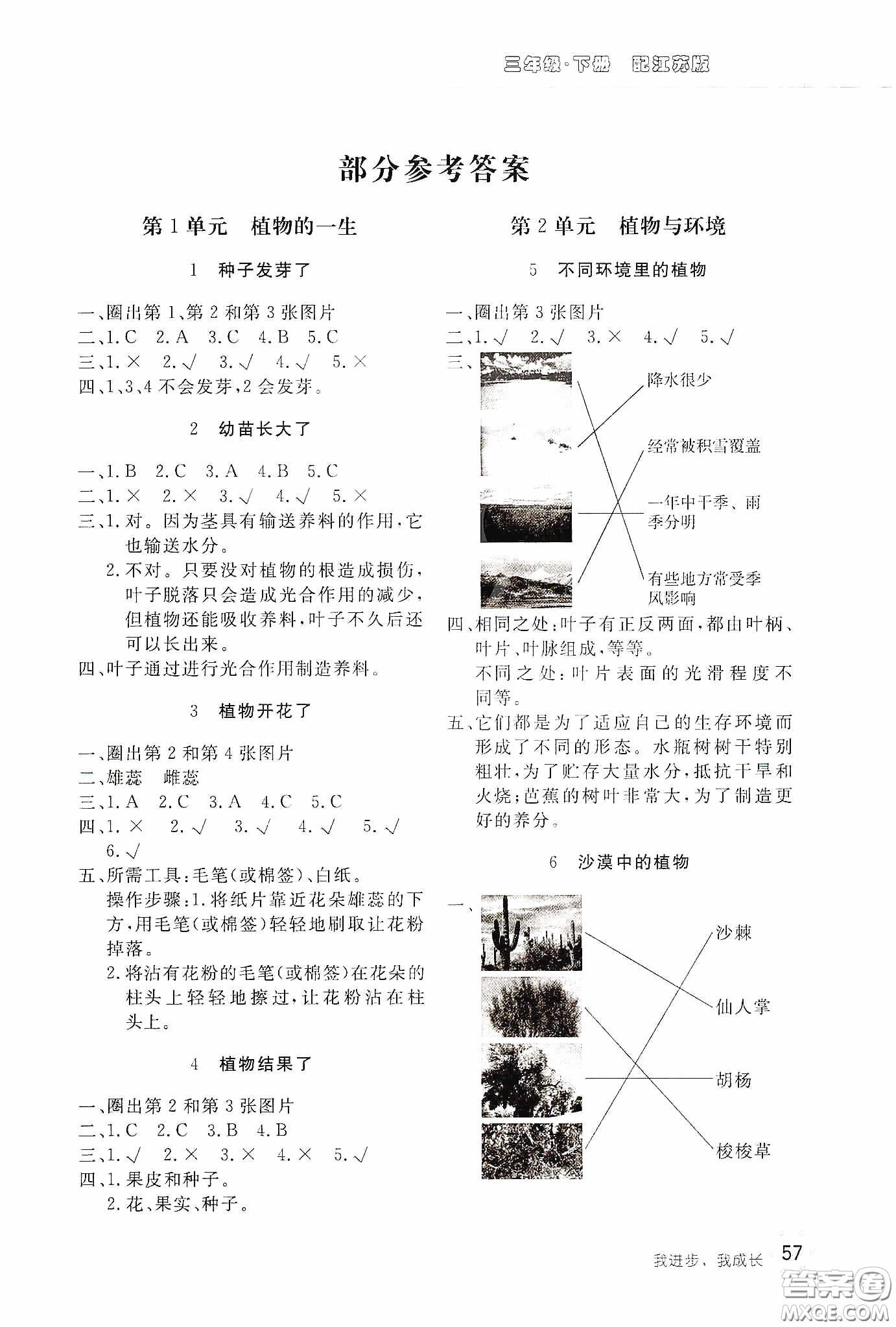 北京教育出版社2020新課堂同步訓(xùn)練三年級科學(xué)下冊江蘇版答案