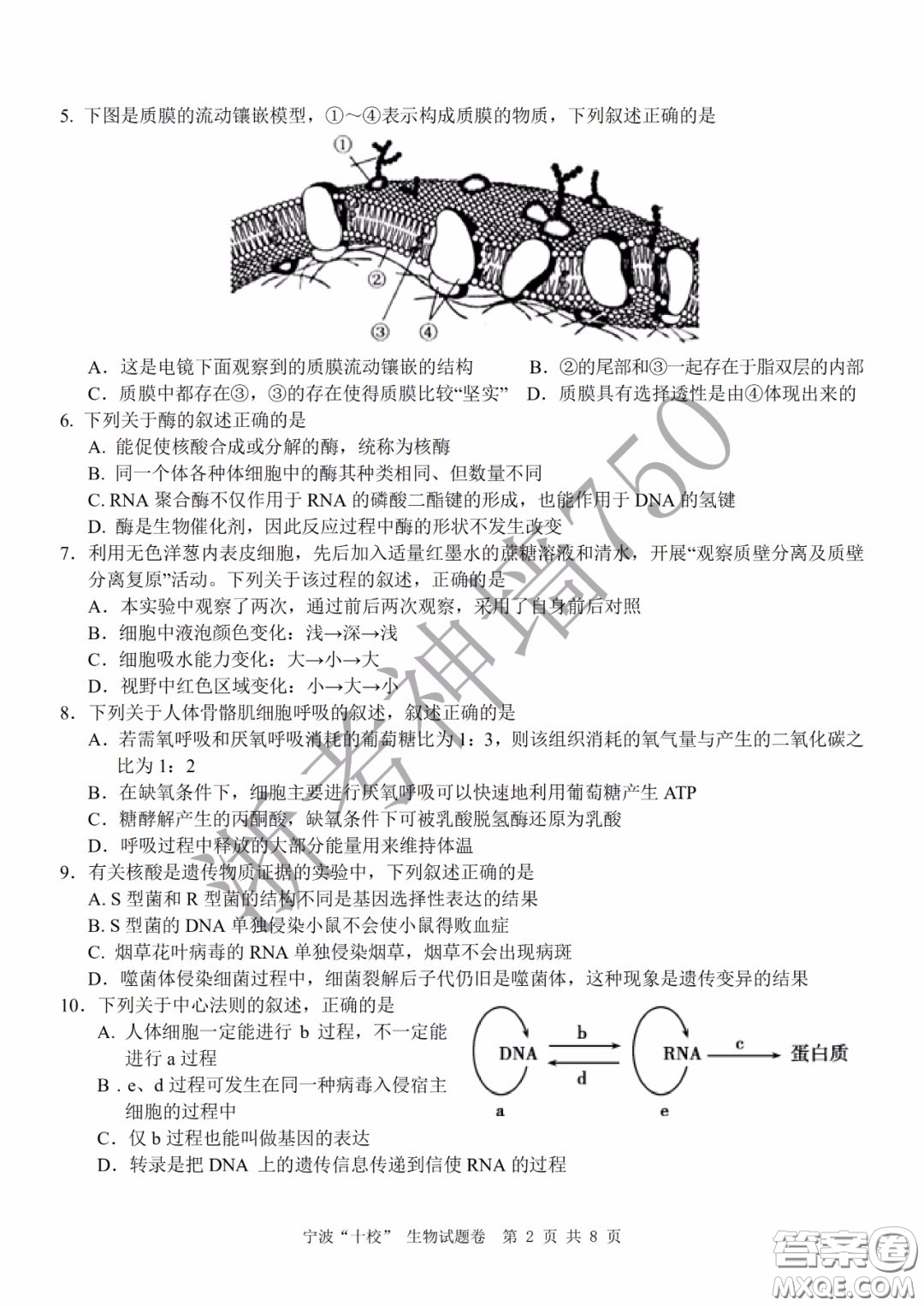 寧波十校2020屆高三3月聯(lián)考試題卷生物答案