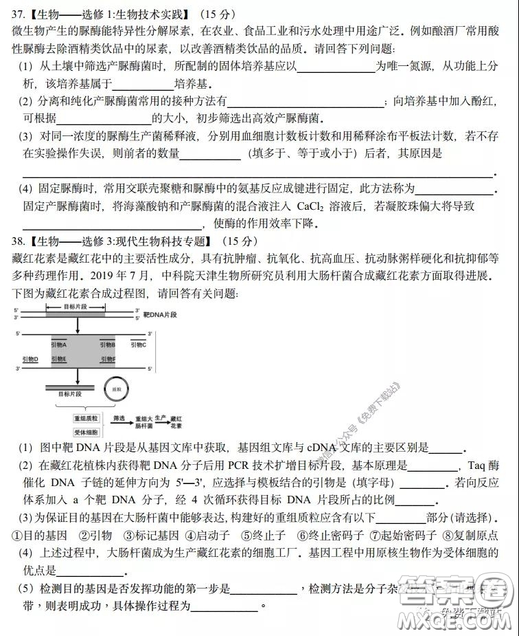 長郡中學(xué)2020屆高三理綜訓(xùn)練七試題及答案