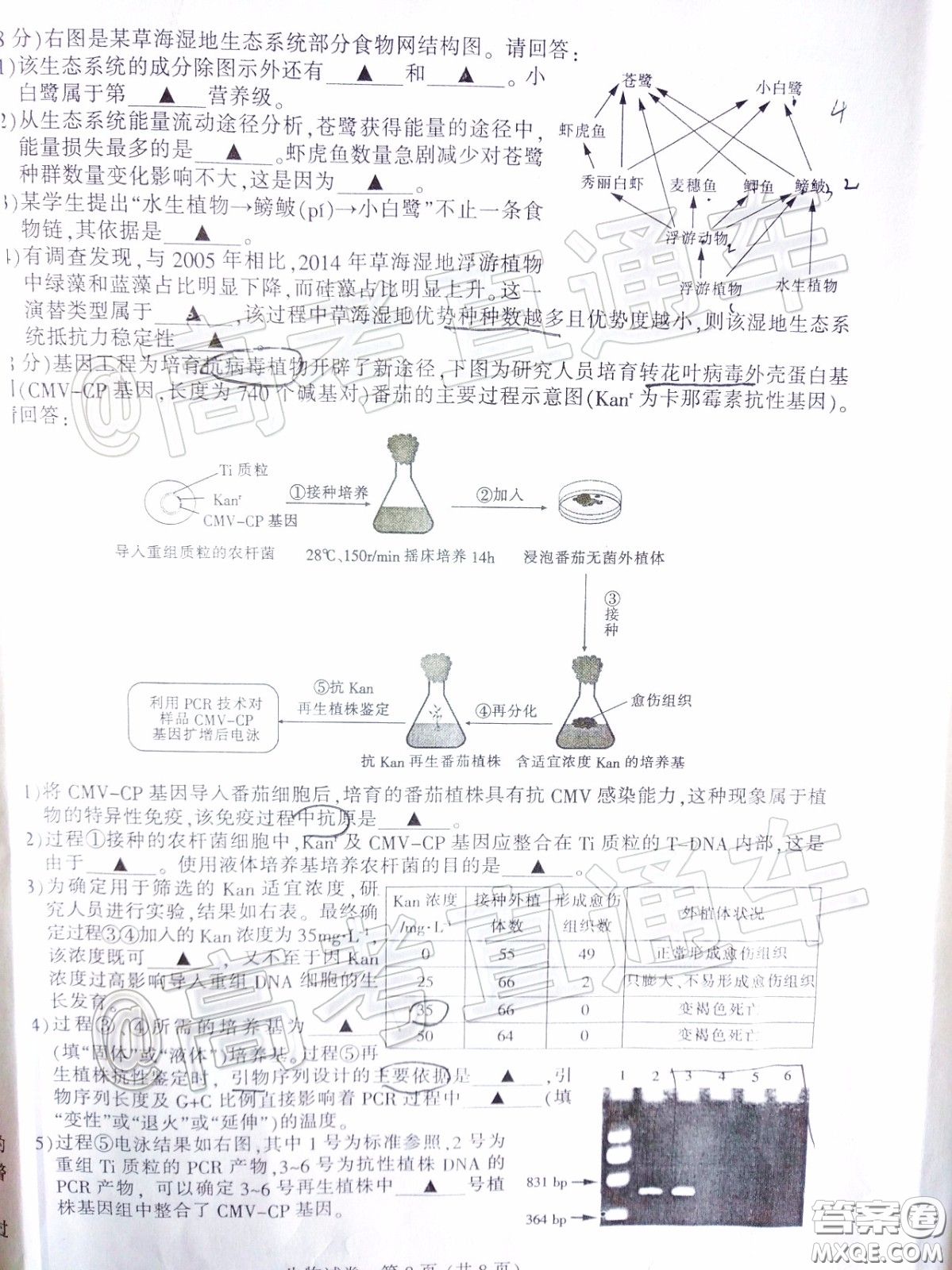 江蘇七市2020屆高三第二次調研考試生物試題及答案