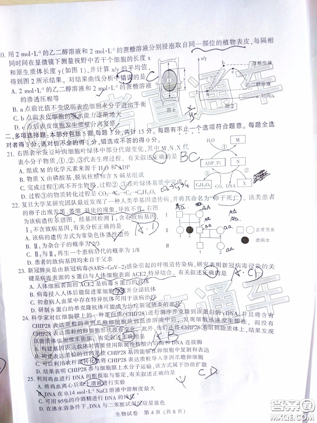 江蘇七市2020屆高三第二次調研考試生物試題及答案