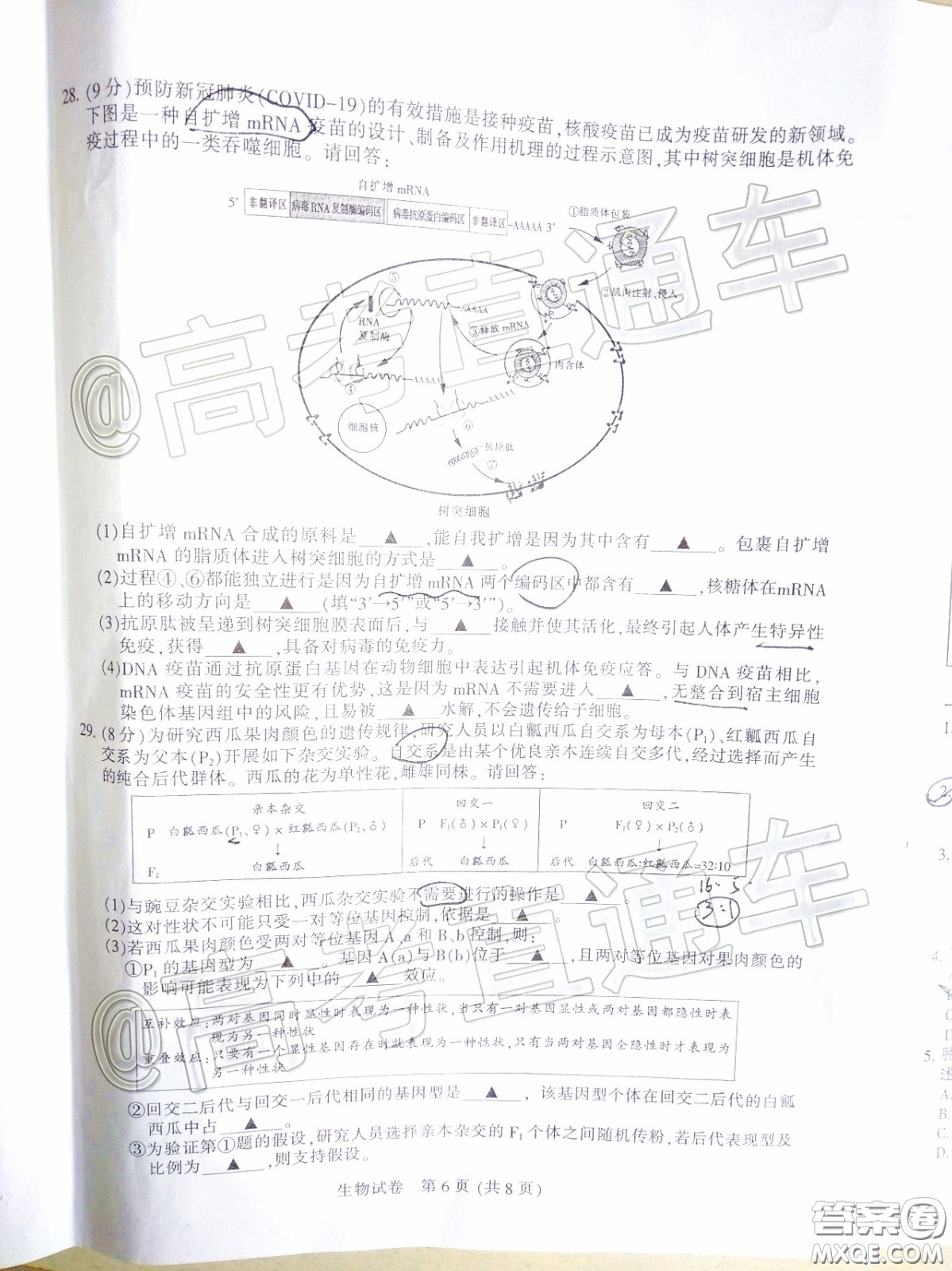 江蘇七市2020屆高三第二次調研考試生物試題及答案